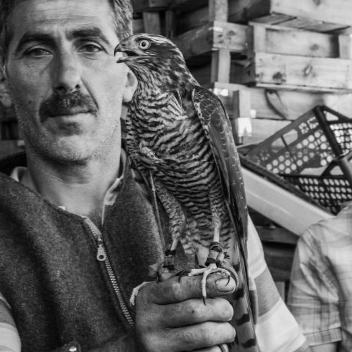 In Search for Atmaca